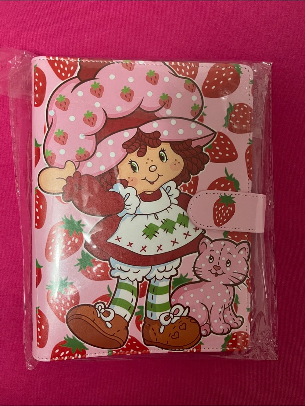 Strawberry Shortcake A5 Planner